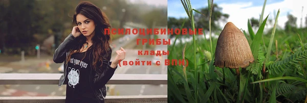 spice Армянск