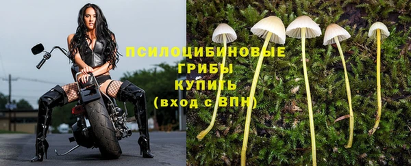 кокаин колумбия Алзамай