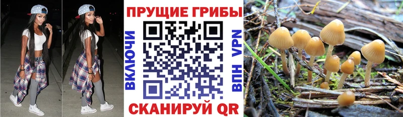 ссылка на мегу онион  Междуреченск  Галлюциногенные грибы прущие грибы 